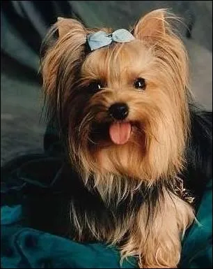 Mais qui est-ce donc ?