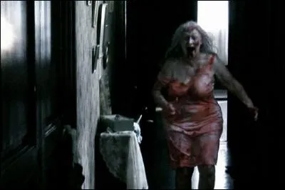 Quel nom porte ce film d'horreur datant de 2007 :