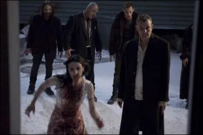 Quel nom porte ce film d'horreur datant de 2007 :