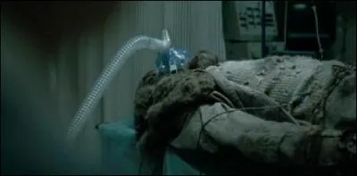  quel film d'horreur datant de 2008 cette photo s'apparente-t-elle ?