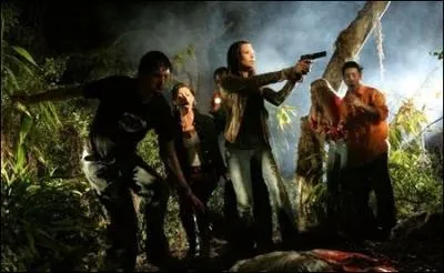 De quel film d'horreur de 2006 provient cette image ?