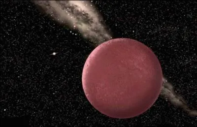 Comment s'appelle cette plante naine ?