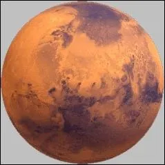 Comment s'appelle cette plante ?