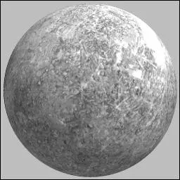 Comment s'appelle cette plante ?