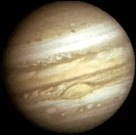 Comment s'appelle cette plante ?