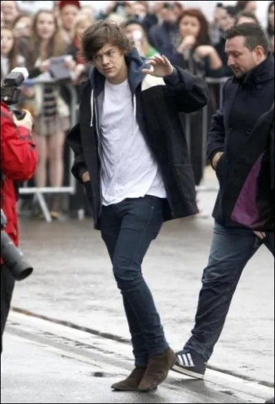 Quand Harry Styles est-il n ?