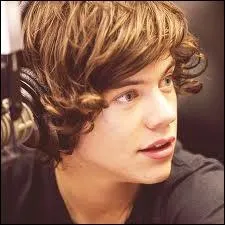 O Harry Styles a-t-il tudi ?