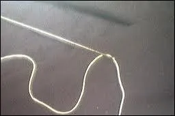 Dans le vocabulaire culinaire, le verbe  brider  signifie qu'il faudra utiliser une longue aiguille et du fil pour ficeler. .