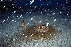 Qui chantait  Ce soir il neige jusqu'en enfer, il neige  fendre des cailloux ...   dans sa chanson  le feu  la peau   ?