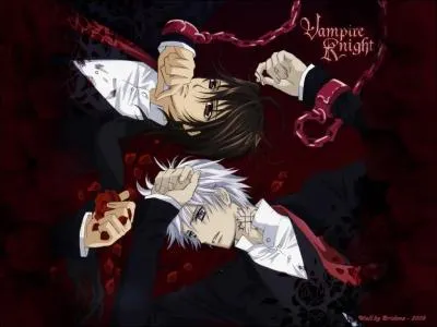 De quelle histoire viennent ces deux personnages ?