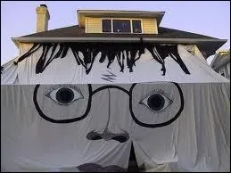 Avec de gros moyens, un brin de folie et beaucoup de motivation, on peut comme ici draper toute la maison...