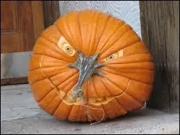 Encore une belle russite que celle-ci qui a l'air de dire  Ne vous approchez pas, ou je vous jette un sort !  . Le talent de la personne qui l'a faite est... ?