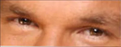 Ces yeux sont ceux de :