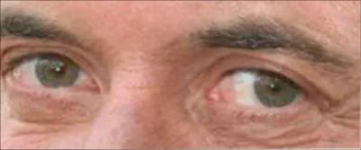 Ces yeux sont ceux de :