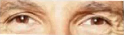 Ces yeux sont ceux de :