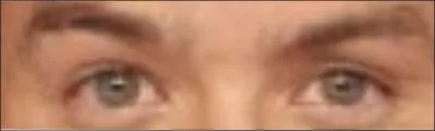 Ces yeux sont ceux de :
