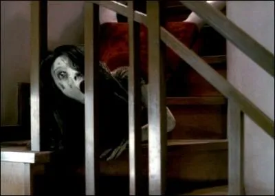 Quel est le titre de ce film de 2004 ?