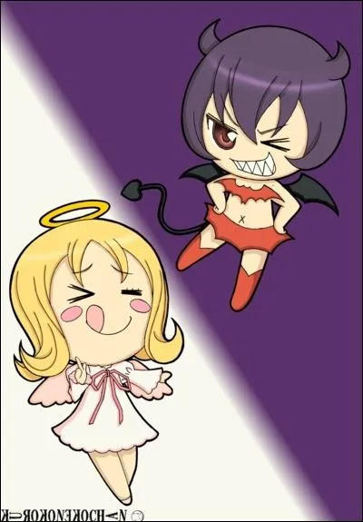 A qui sont ces shugos charas ?