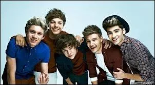 En quelle anne le frre de Niall va-t-il se marier ?