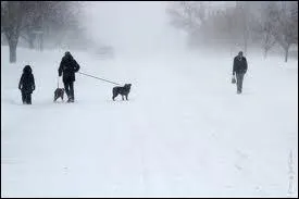 Qu'est-ce que le Blizzard ?