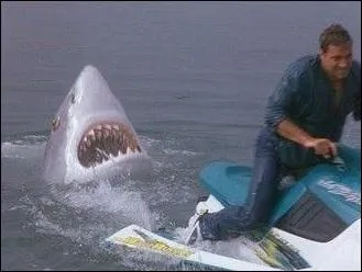 De quel film d'horreur datant de 2001 cette image est-elle tire ?