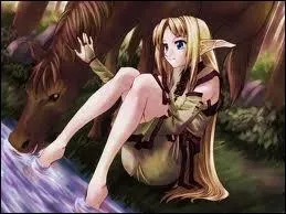 Lequel de ces lments ne fait pas partie du fer  cheval ?