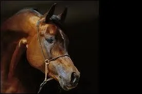 Une couverture est compose de ...