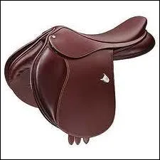 C'est une selle ...