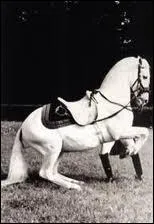 Laquelle de ces figures n'est pas une figure de mange ?