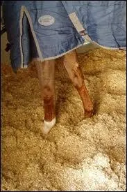 Une litire en bateau est ...