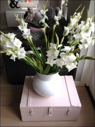 N'est-il pas superbe ce bouquet de fleurs blanches, qui sont des... ?