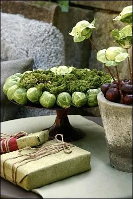 Pourquoi ne pas innover pour la saison automnale ou hivernale, en composant ces ensembles trs jolis avec de la mousse et. . ?