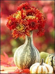 C'est la saison ! Pourquoi ne pas utiliser une courge dcorative comme vase, pour recevoir ces jolies fleurs d'un rouge profond, qui sont... ?