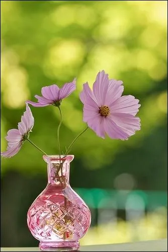 N'est-ce pas que cette faon dpouille de placer quelques fleurs dans un vase pastel met en valeur la grce lgre de ces... ?