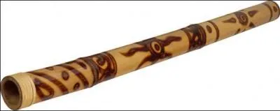 Quelle est la bonne orthographe de cet instrument ?