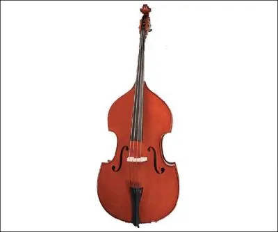 Quel est cet instrument ?