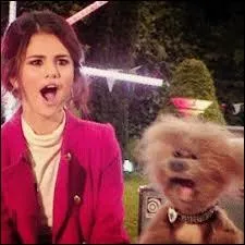 Quelle est la chanson prfre de Taylor Swift chante par Selena ?