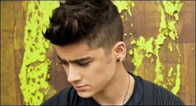 Avec qui Zayn est-il en couple ?