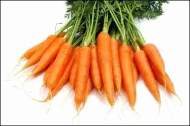 Quel membre du groupe aime les filles qui mangent des carottes ?