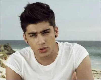 Quelle est la vraie orthographe de  Zayn  ?