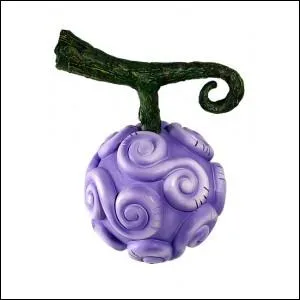 Quel est son pouvoir ?