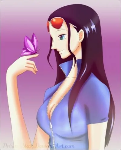 Quelle est la technique que Robin a dvelopp pendant les 2 ans aprs Marine-Ford ?