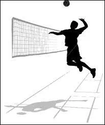 En quelle anne a t fond le club  Paris Volley  ?