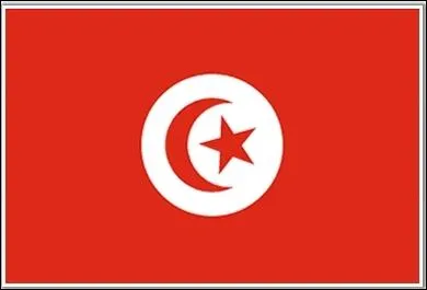 A quel pays appartient ce drapeau ?