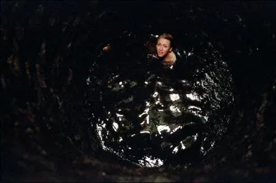 Quel nom porte ce film d'horreur datant de 1999 ?