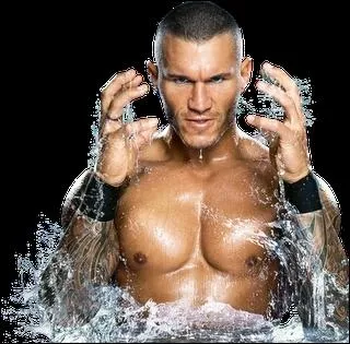 Qui est ce catcheur ?