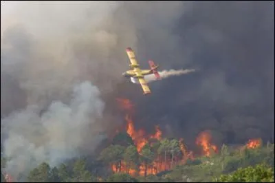Combien de litres peut-il prendre dans sa soute ?