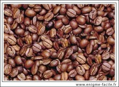 Trouvez l'intrus dans cette photo.