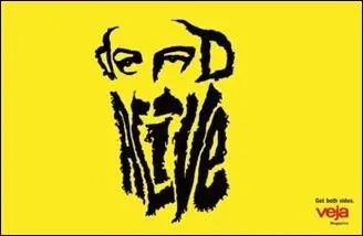 Observez l'image et trouvez la seule affirmation correcte.