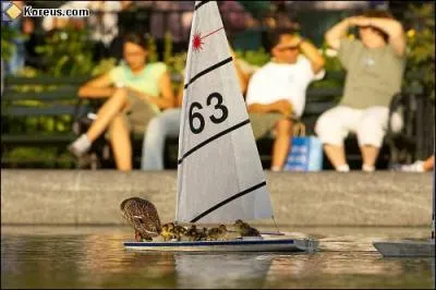 Ils avaient faim, se sont rvolts et finissent fusills sur le ...